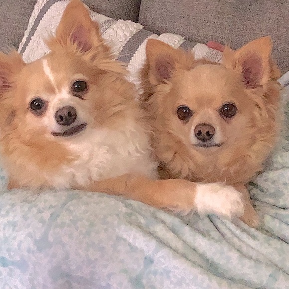 Meet your Posher, Suzanne - Picture 2 of 3